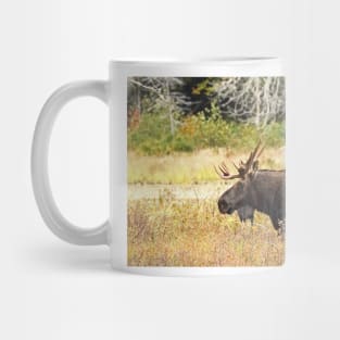 Big Bull Moose, Algonquin Park Mug